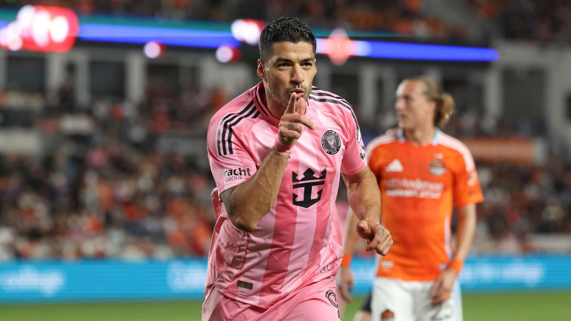 为爱好者提 为爱好者提