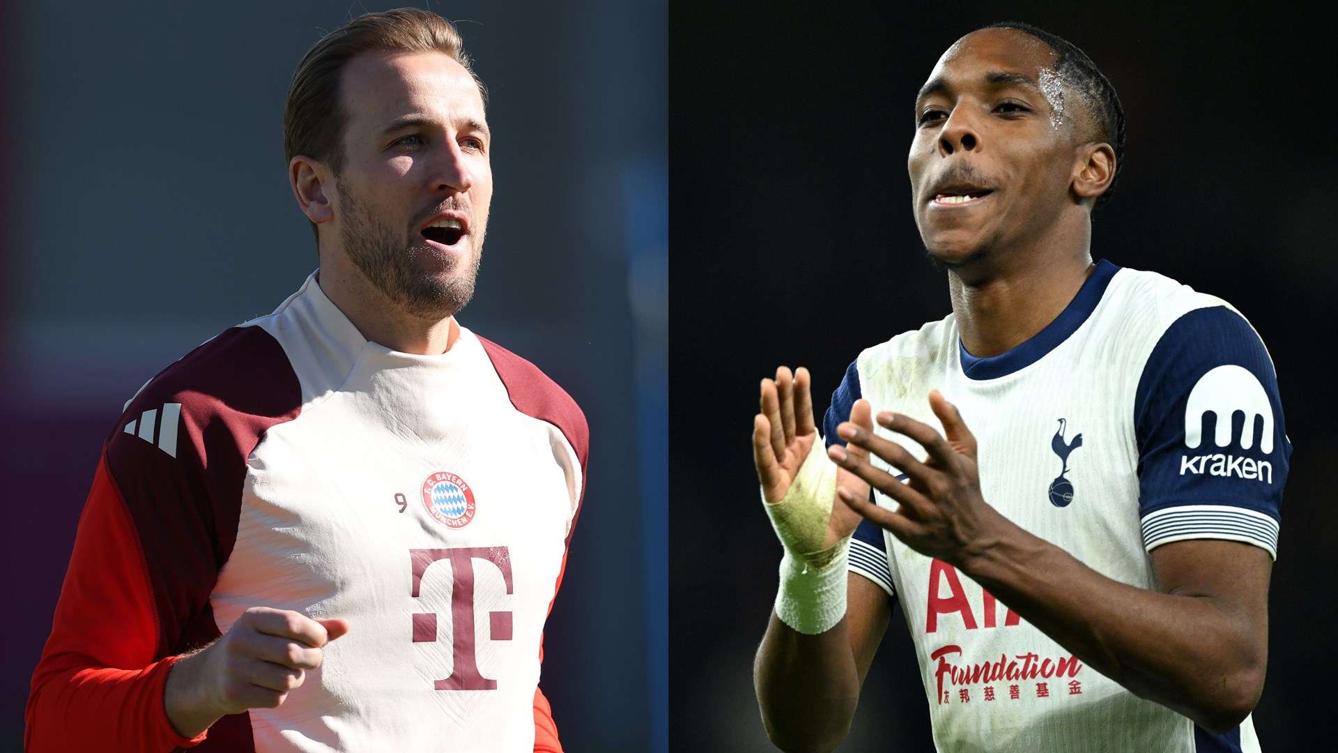 这一声明不 这一声明不